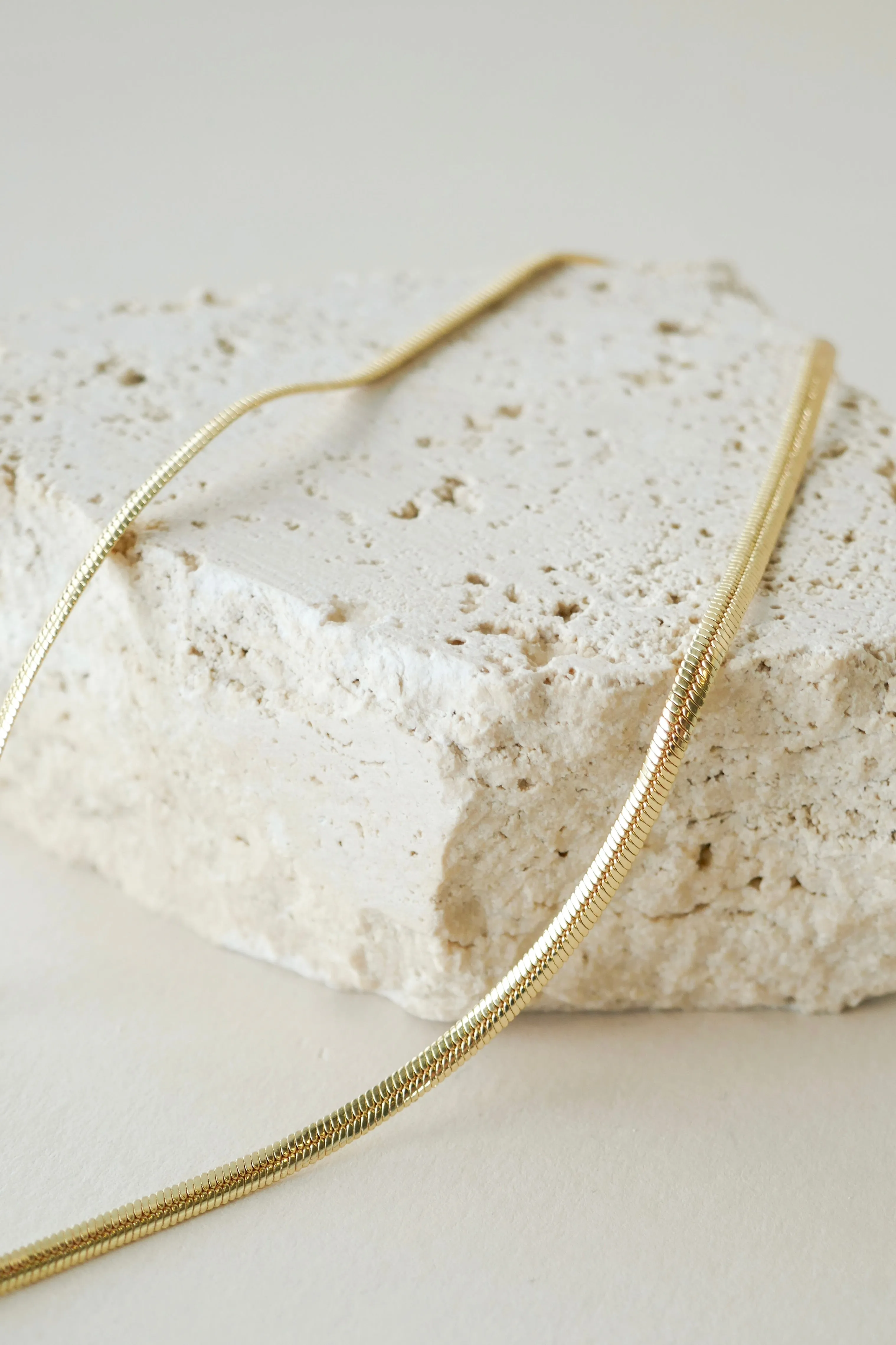 Classic Snake Chain Gold Necklace