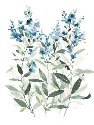 Delicate Blue Botanical II