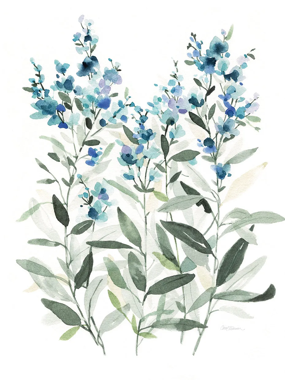 Delicate Blue Botanical II