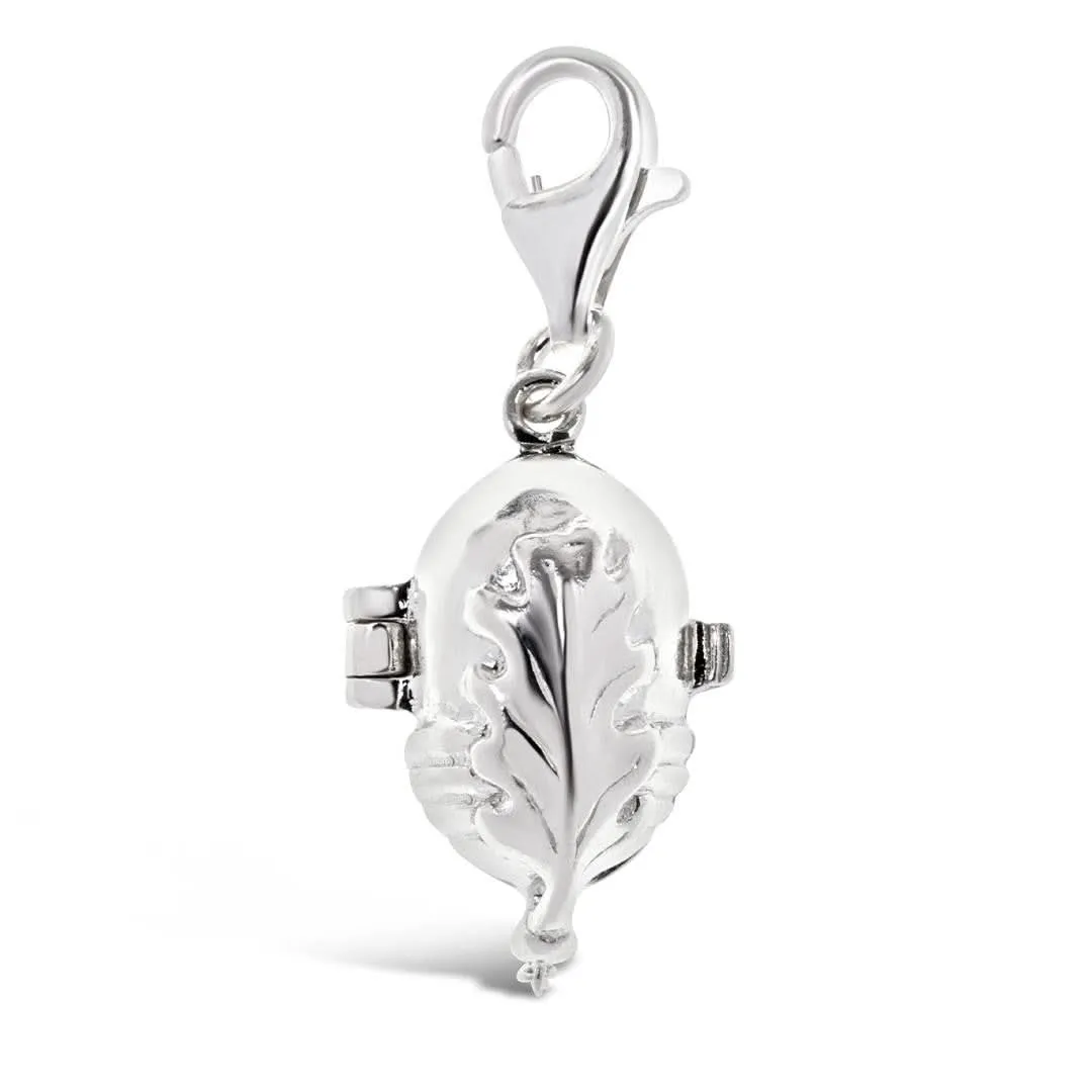 Magical Charm | Squirrel - Friendship - Silver