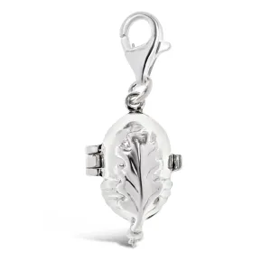 Magical Charm | Squirrel - Friendship - Silver