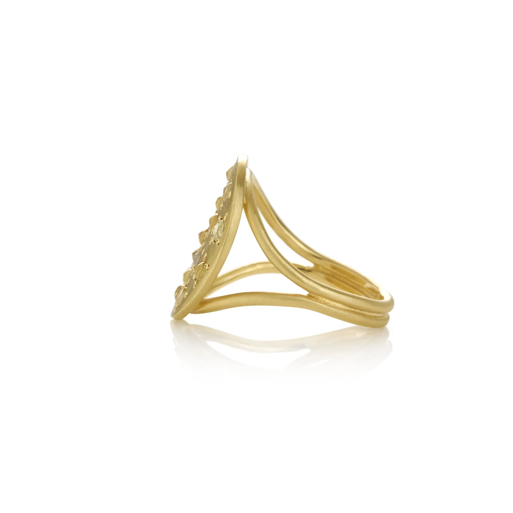 Orbital Diamond Ring in Yellow Gold